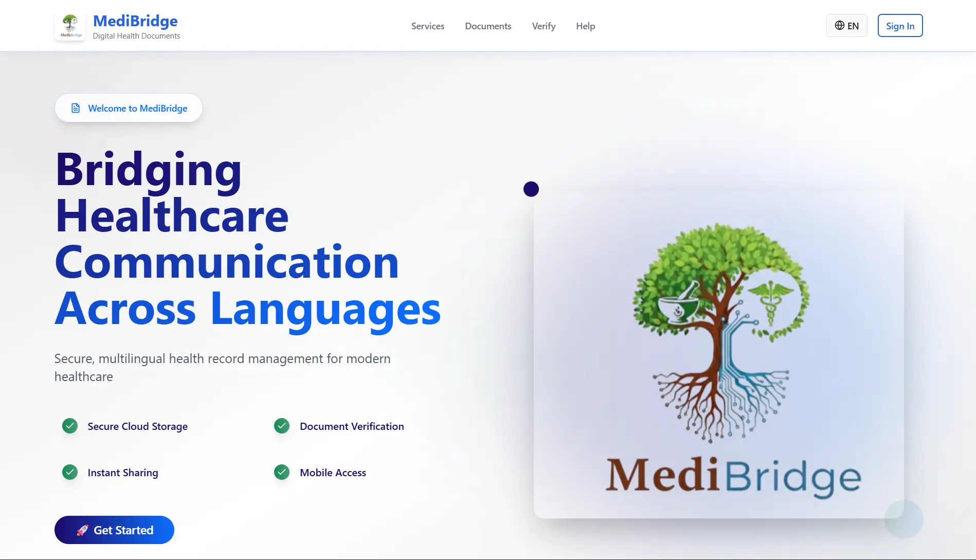 MediBridge interface preview